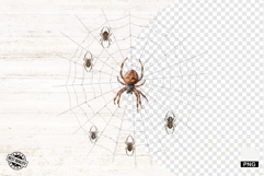 Spider Webs Clipart Product Image 1