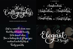 Exclusive Best Font Bundle Product Image 11