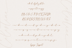 Celestine A Modern Script Font Product Image 11