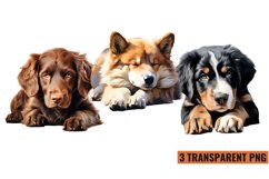 Cute Sleeping Dogs Clipart, Sleeping Dogs Vector Product Image 1