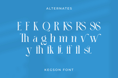 Kegson Product Image 11