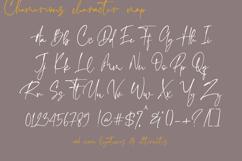 Emeralde - Chamerions Stylish Font Duo Product Image 9