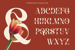 Vanelo - Luxury Serif font Product Image 13