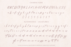 Fall Ember Calligraphy Font Product Image 11