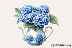 Hydrangea Watercolor Clipart PNG Product Image 1