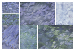 Caelum - Botanical Backgrounds Product Image 4