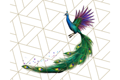 Peacock Christmas Clipart in Jewel Tones, Christmas Png Product Image 3