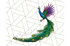 Peacock Christmas Clipart in Jewel Tones, Christmas Png Product Image 3