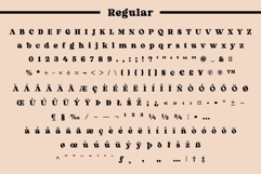 Fox Rustic: 7 Font Styles Product Image 11