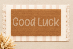 Rummy Raisin - Handwritten Font Product Image 11