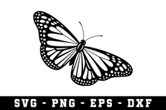 Butterfly SVG | SVG Cut files | Cricut Product Image 1