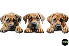 Breeds Of Peeking Dogs Collection Product Image 1