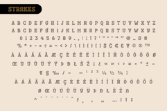 Fox Cynthia : 4 Font Style Product Image 11