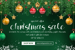 Frosty Christmas is a charming handwritten script Product Image 11
