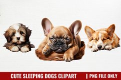 Cute Sleeping Dogs Clipart Product Image 1