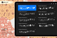 Feather Elements | Procreate Brushes Product Image 2
