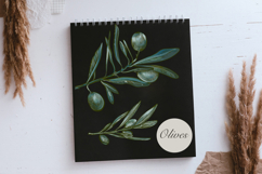 Olive Vector set Product Image 12