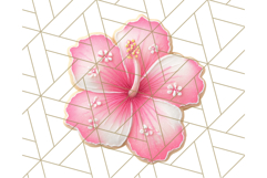 Summer Iced Cookie Clipart PNG, Cute Tropical Cookies Product Image 3