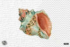 Dreamy Coral Reef Clipart - Summer Clipart Product Image 1