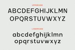 Carteny - Geometric Sans Family Product Image 10