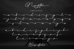 Ningetan Handwritten Font Product Image 11