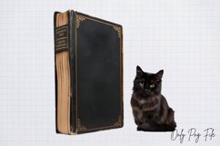 Books Halloween Clipart PNG Product Image 1