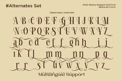 Shifer Blastone - Elegance Beauty Serif Font Product Image 10