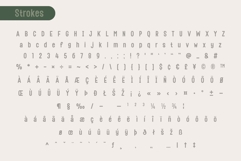 Fox Elliot Font Product Image 11