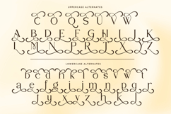 Sylvian - Luxury Serif Font Product Image 11
