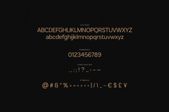 Vexa Modern Sans Serif Font Product Image 10