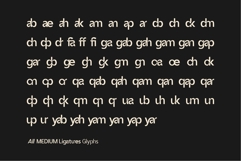 Vexane Editoral Logo fonts Product Image 11