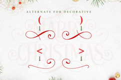 Marry Christmas - Elegant Decorative Font Product Image 11