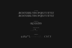 Airox Luxury Editorial Serif Font Product Image 10