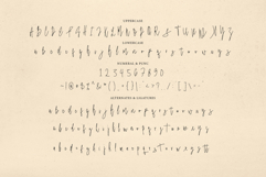 Blistwing Signature Product Image 11