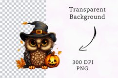 Cute owl halloween clipart, owl sublimation Product Image 2