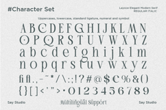 Layoce - Luxury Ligature Serif Font Product Image 11