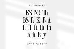 Arnoira Product Image 11