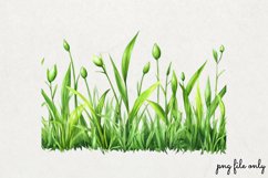 Watercolor Grass Borders Clipart PNG Product Image 1