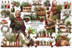 Winter Herbs Clipart Bundle, Set of 25 Png Bundle Product Image 1