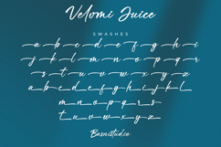 Velomi Juice Elegant Handwritten Font Product Image 11