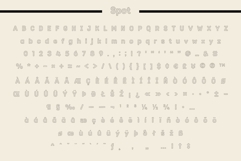 Fox Diablo: 4 Font Styles Product Image 11