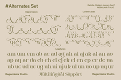 Dalnite - Modern Luxury Serif Font Product Image 11