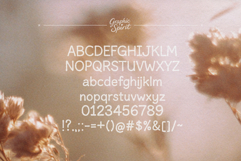 Hygge Vibes Cozy Decorative Font Product Image 11