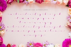Beneficha - Natural Script Font Product Image 11