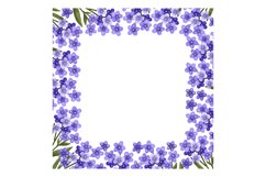 Spring botanical frame with blue flowers. Forget me not bran Product Image 2