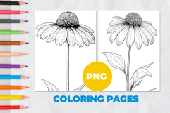 Chamomile flower Coloring Pages | Coloring book Product Image 1