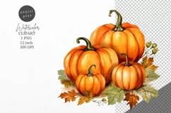 Thanksgiving clipart, Pumpkin clipart, Autumn clipart, Product Image 1