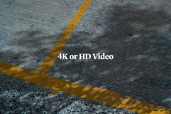 Plant Shadow Backdrops Video Bundle Product Image 11