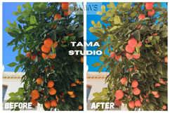10 Daylight Preset Lightroom and LUTs Video Filter Product Image 11