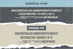 Survious Vintage Font Collection Product Image 11
